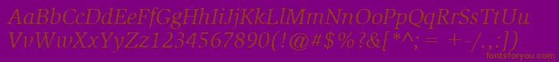 ItcSlimbachLtBookItalic Font – Brown Fonts on Purple Background
