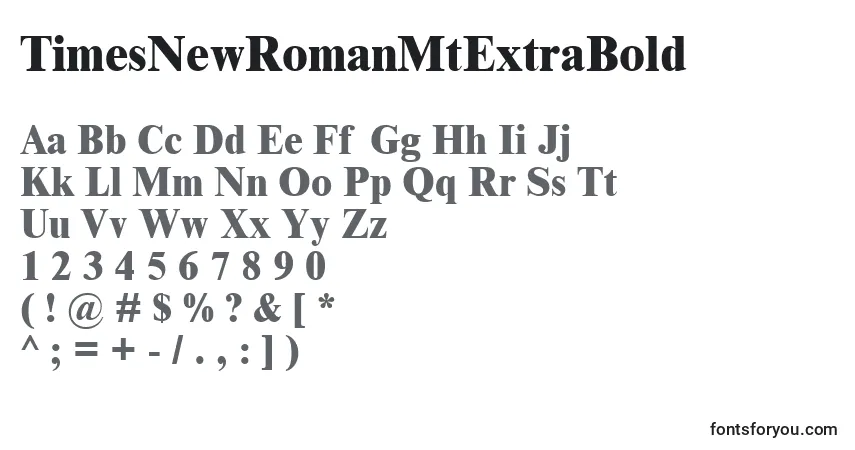 Schriftart TimesNewRomanMtExtraBold – Alphabet, Zahlen, spezielle Symbole