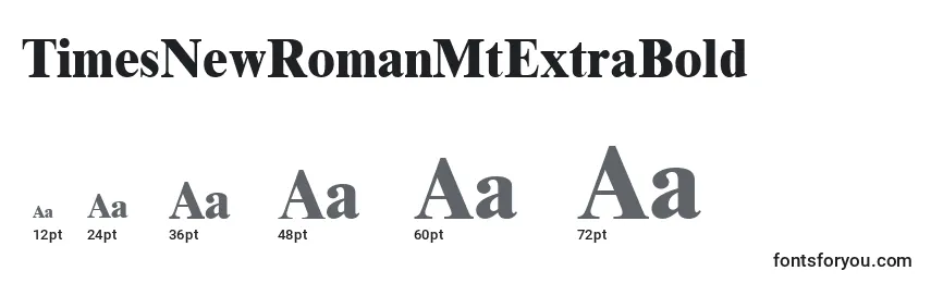 TimesNewRomanMtExtraBold Font Sizes