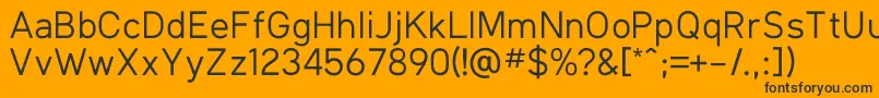 KlimaRegular Font – Black Fonts on Orange Background