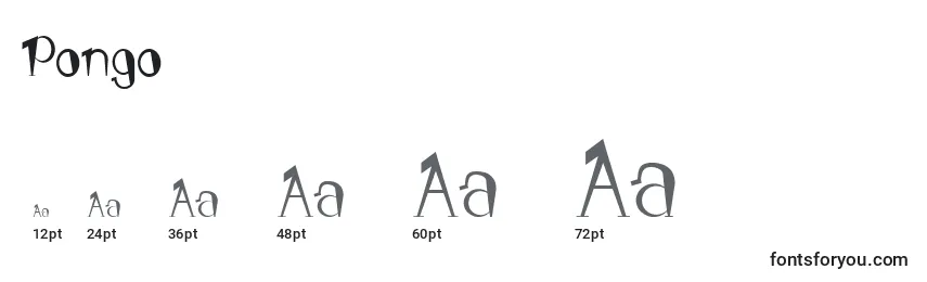 Размеры шрифта Pongo