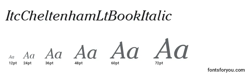 Размеры шрифта ItcCheltenhamLtBookItalic