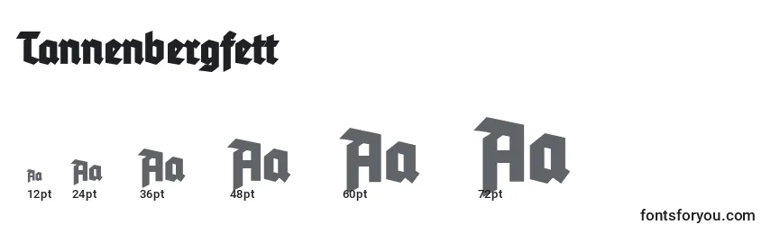 Размеры шрифта Tannenbergfett