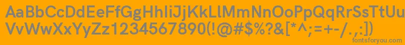 HkgroteskBoldlegacy Font – Gray Fonts on Orange Background