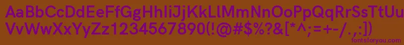 HkgroteskBoldlegacy Font – Purple Fonts on Brown Background