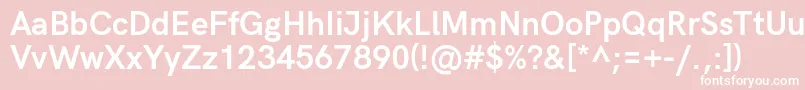 HkgroteskBoldlegacy Font – White Fonts on Pink Background