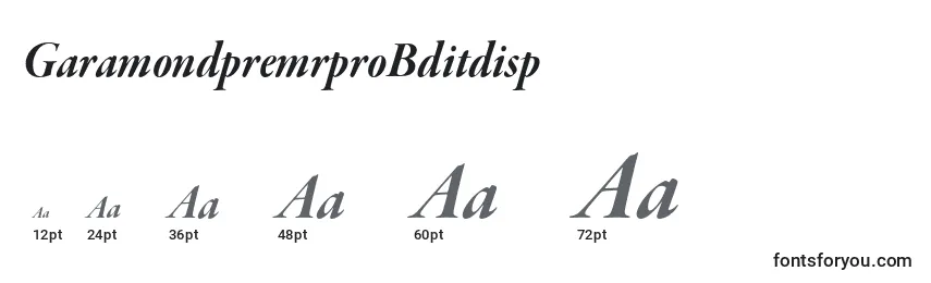 Размеры шрифта GaramondpremrproBditdisp