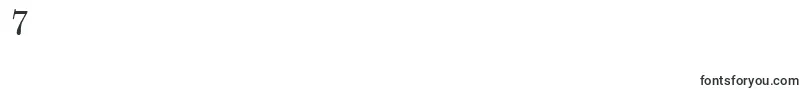 TheanoModernRegular Font – Fonts for Digit 7
