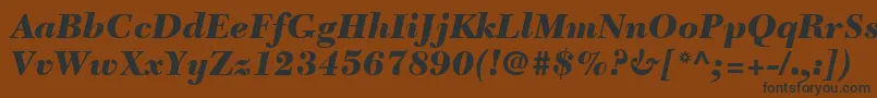 Czcionka NewCaledoniaLtBlackItalic – czarne czcionki na brązowym tle