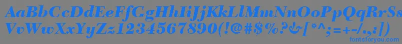 フォントNewCaledoniaLtBlackItalic – 灰色の背景に青い文字