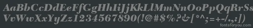 フォントNewCaledoniaLtBlackItalic – 黒い背景に灰色の文字