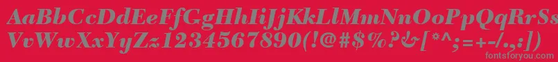 Шрифт NewCaledoniaLtBlackItalic – серые шрифты на красном фоне