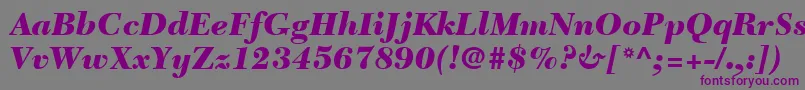 NewCaledoniaLtBlackItalic-fontti – violetit fontit harmaalla taustalla