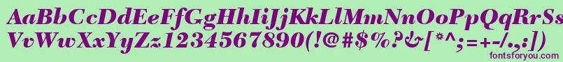 フォントNewCaledoniaLtBlackItalic – 緑の背景に紫のフォント