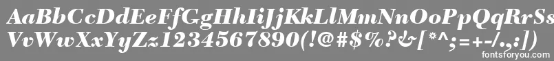 Шрифт NewCaledoniaLtBlackItalic – белые шрифты на сером фоне