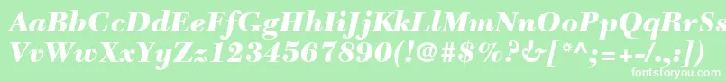 NewCaledoniaLtBlackItalic Font – White Fonts on Green Background