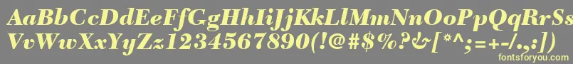 NewCaledoniaLtBlackItalic-fontti – keltaiset fontit harmaalla taustalla