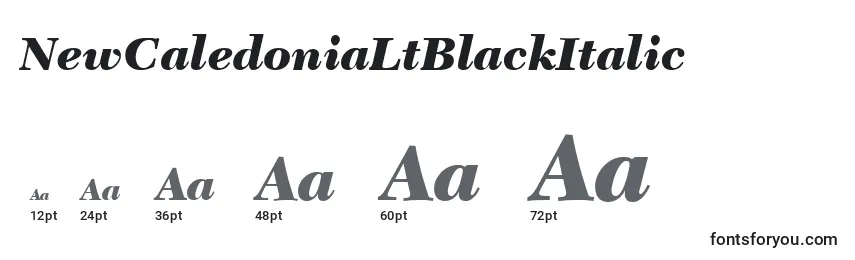 Размеры шрифта NewCaledoniaLtBlackItalic