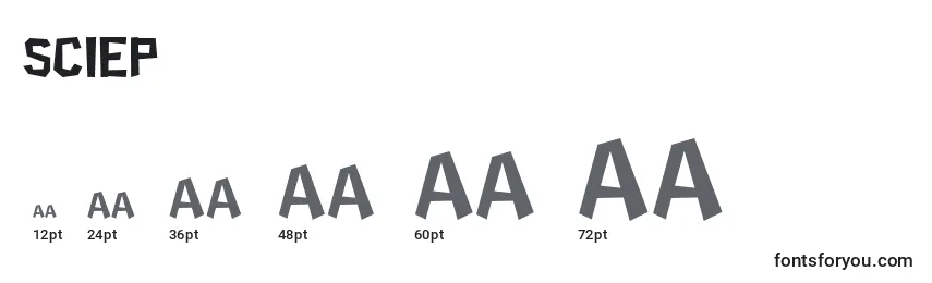 Sciep Font Sizes