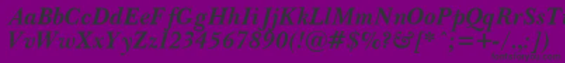 PasmaBoldItalic.001.001 Font – Black Fonts on Purple Background