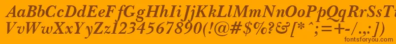 PasmaBoldItalic.001.001 Font – Brown Fonts on Orange Background