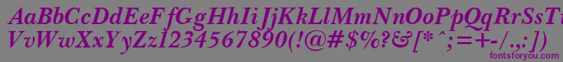 PasmaBoldItalic.001.001 Font – Purple Fonts on Gray Background