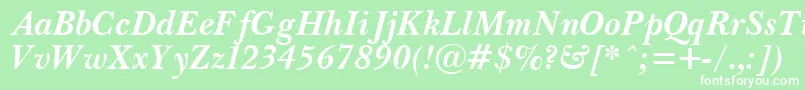 PasmaBoldItalic.001.001 Font – White Fonts on Green Background