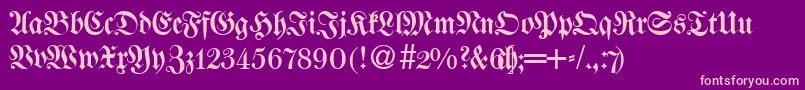 WalbaumfrakturRegularDb Font – Pink Fonts on Purple Background