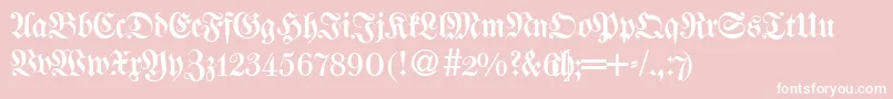 WalbaumfrakturRegularDb Font – White Fonts on Pink Background