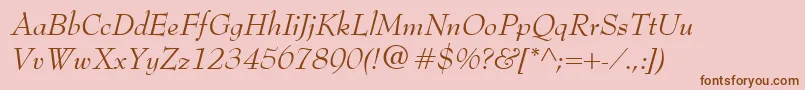 BernhardModernItalic Font – Brown Fonts on Pink Background