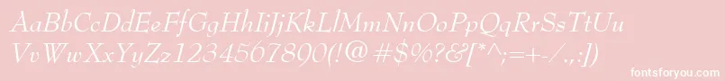 BernhardModernItalic Font – White Fonts on Pink Background