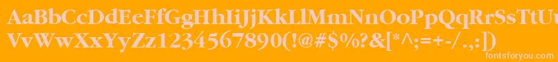 Cyrillicgaramond ffy Font – Pink Fonts on Orange Background