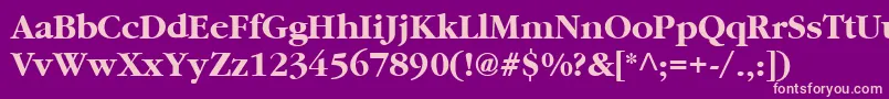 Cyrillicgaramond ffy Font – Pink Fonts on Purple Background