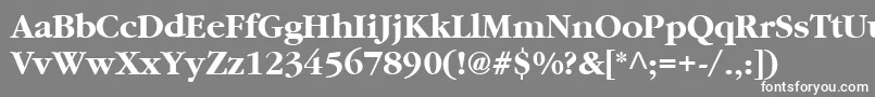 Cyrillicgaramond ffy-fontti – valkoiset fontit harmaalla taustalla