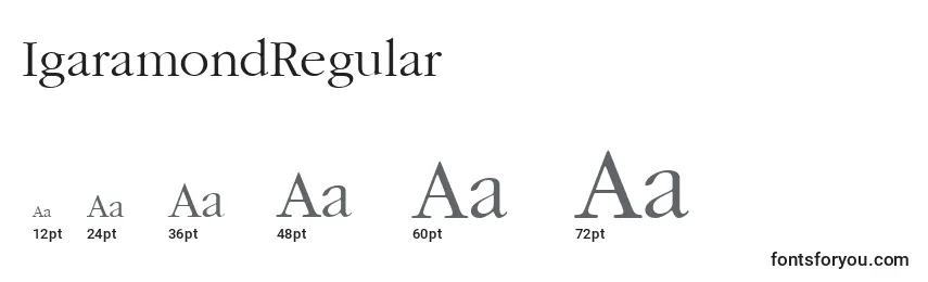 Размеры шрифта IgaramondRegular