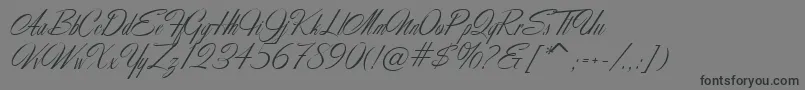 MartinaScriptc Font – Black Fonts on Gray Background