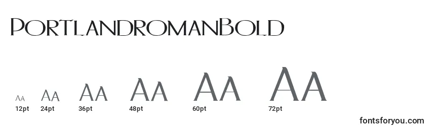 Размеры шрифта PortlandromanBold