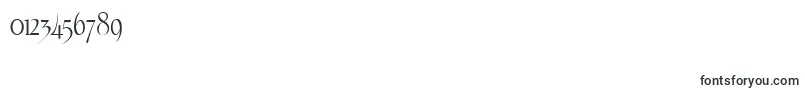 Echelon Font – Fonts for Numbers and Digits