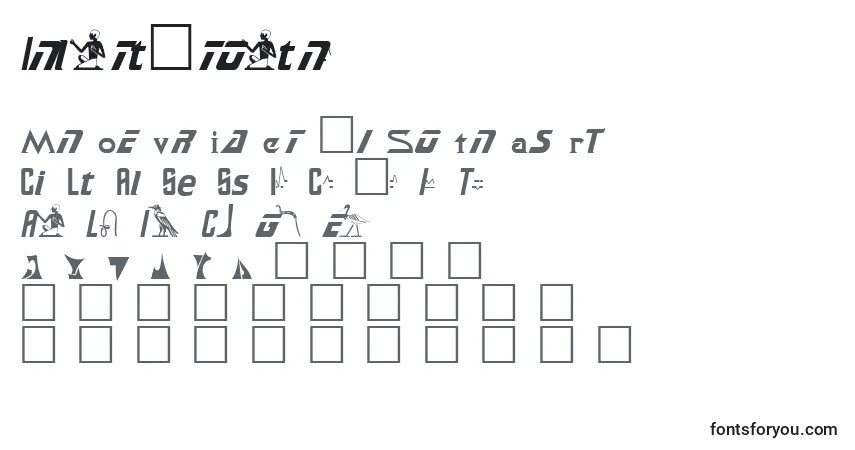 Czcionka SamuelRegular – alfabet, cyfry, specjalne znaki