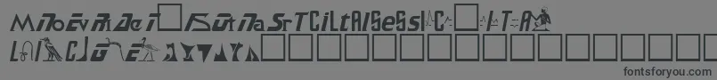 SamuelRegular Font – Black Fonts on Gray Background