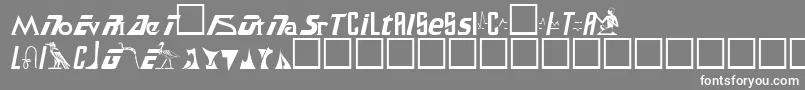 SamuelRegular Font – White Fonts on Gray Background