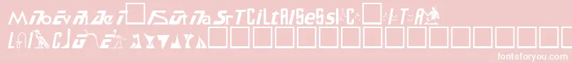 SamuelRegular Font – White Fonts on Pink Background