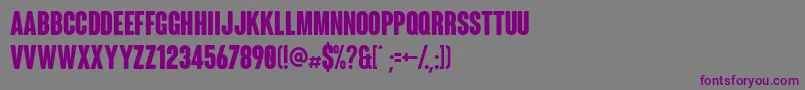 ColunaRounded-fontti – violetit fontit harmaalla taustalla
