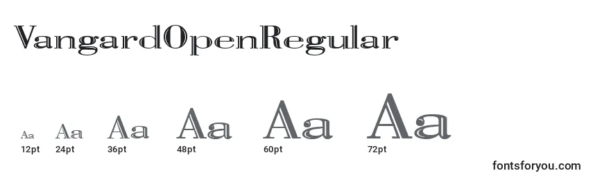 VangardOpenRegular Font Sizes