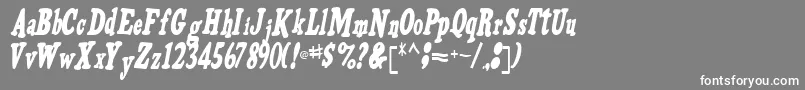 フォントVoldifinal96Regular – 灰色の背景に白い文字