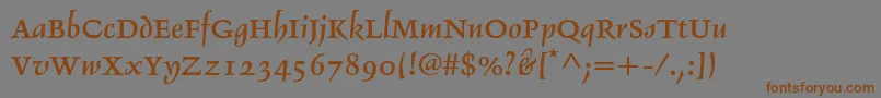 Delphinltstd2 Font – Brown Fonts on Gray Background