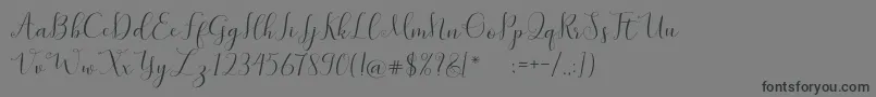SymphonyScript Font – Black Fonts on Gray Background