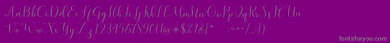 SymphonyScript Font – Gray Fonts on Purple Background