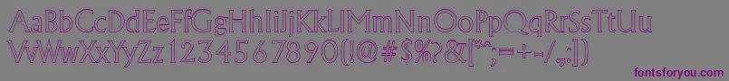 AdelonoutlineLightRegular Font – Purple Fonts on Gray Background