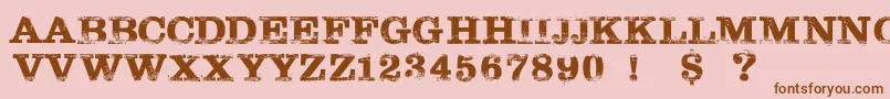 TarantinoPersonalUseOnly Font – Brown Fonts on Pink Background